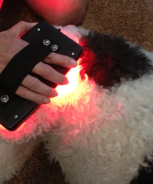 190 LEDs Ultimate Infrared Light