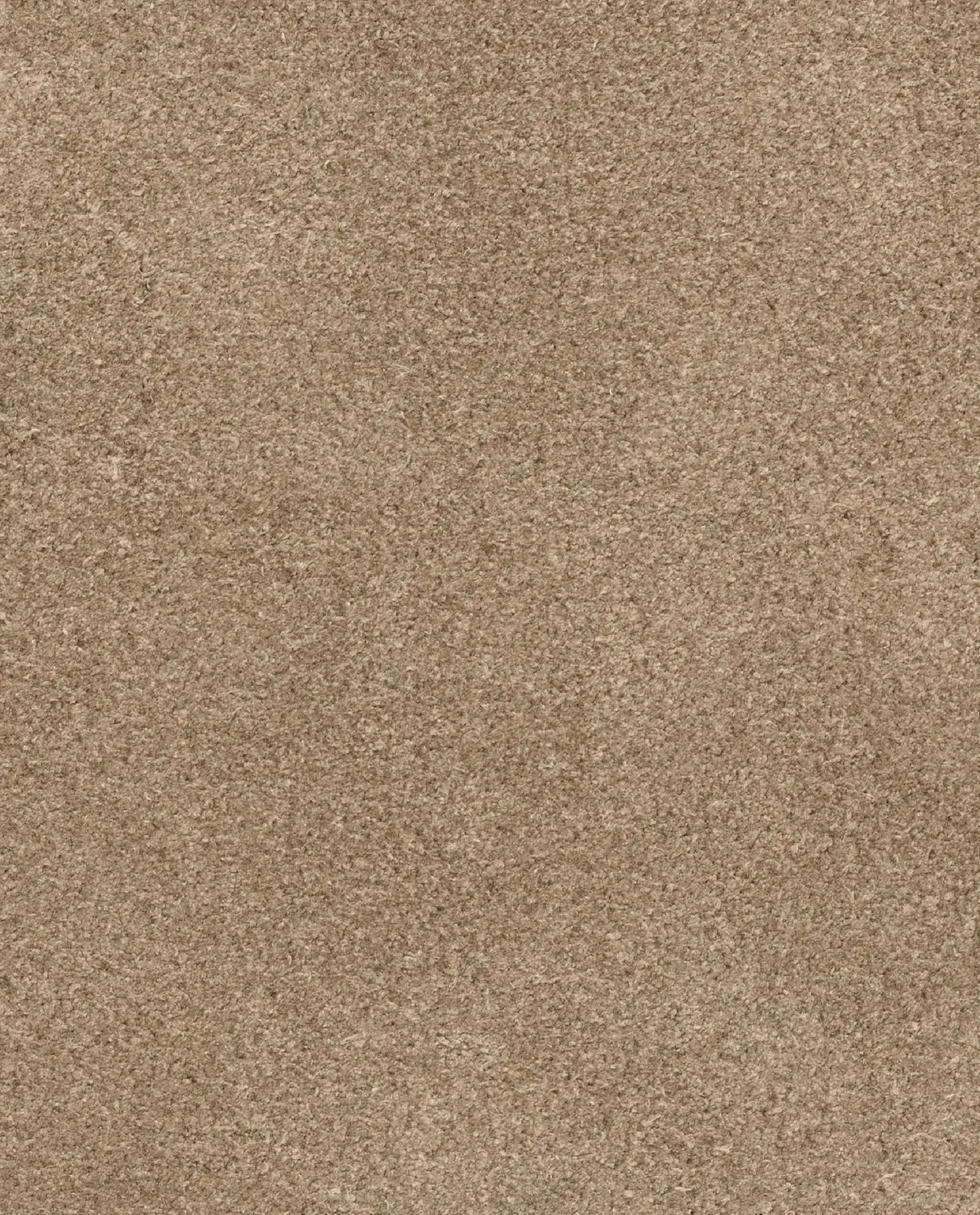 Camel Suede Mid-Top Sneakers