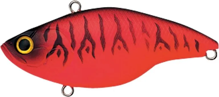 Evergreen Buzzer Beater Tungsten