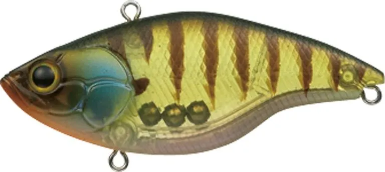 Evergreen Buzzer Beater Tungsten