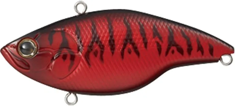 Evergreen Buzzer Beater Tungsten