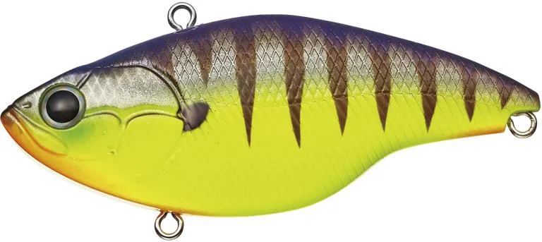 Evergreen Buzzer Beater Tungsten