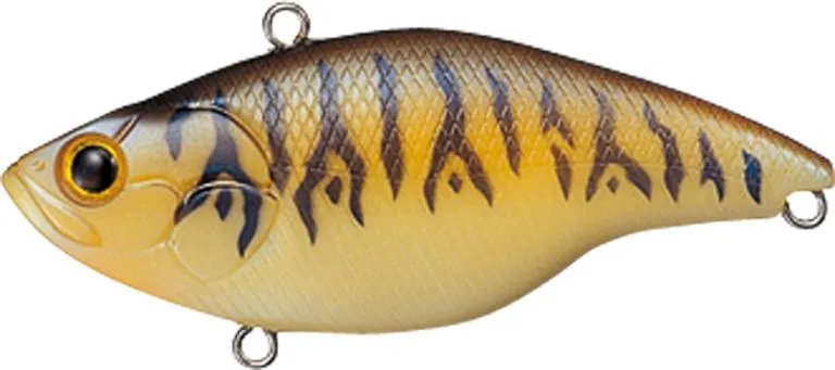 Evergreen Buzzer Beater Tungsten