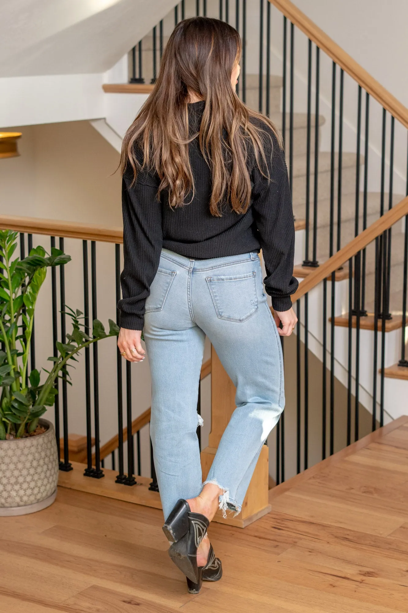 Fabulously High Rise Straight Leg Regular & Plus Sizes