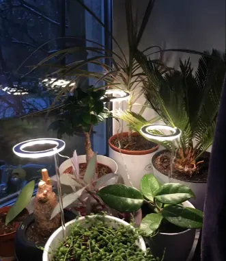 HaloTech LED Grow Light