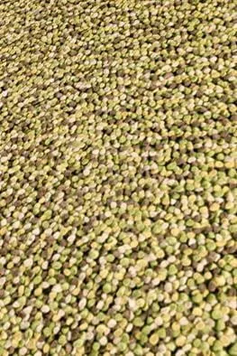 Omega Olive Sale