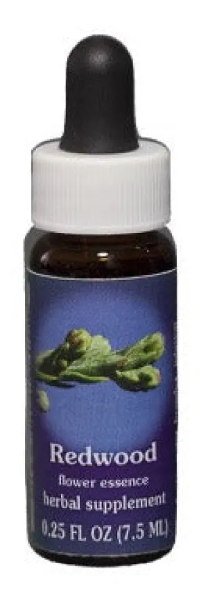 Range of Light - Redwood Flower Essence - .25 fl oz
