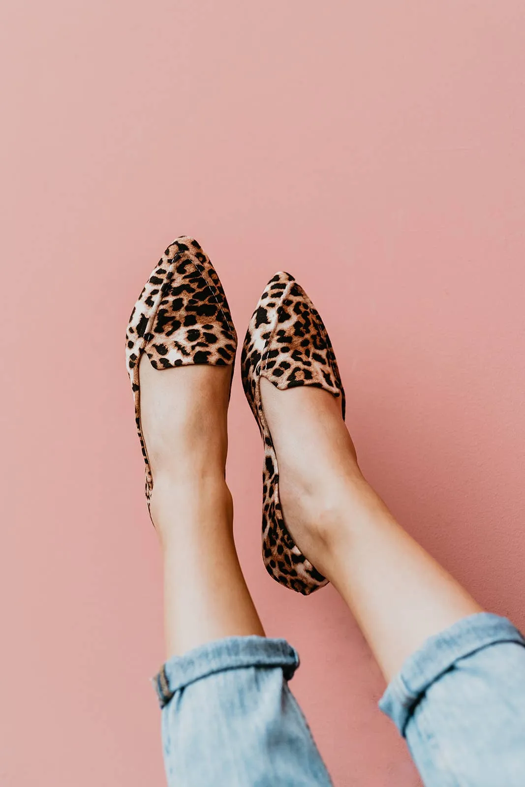 Rollasole | Into the Wild Flats